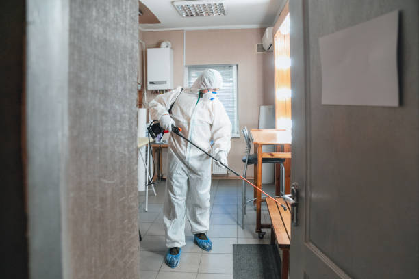 Best Biohazard Mold Removal  in Whitehouse, TX