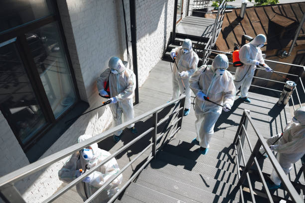 Forensic Mold Investigation in Whitehouse, TX