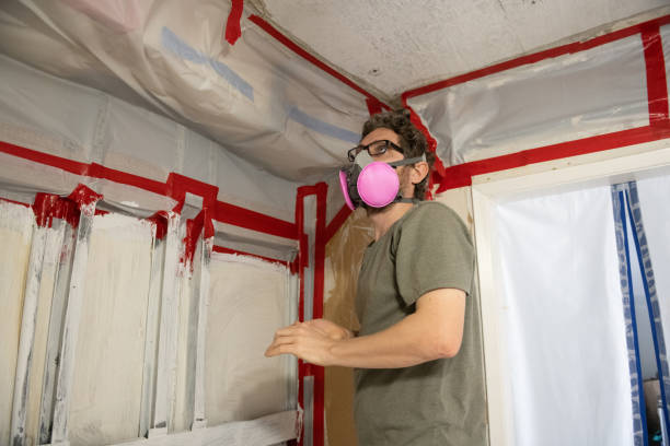 Best Forensic Mold Investigation  in Whitehouse, TX