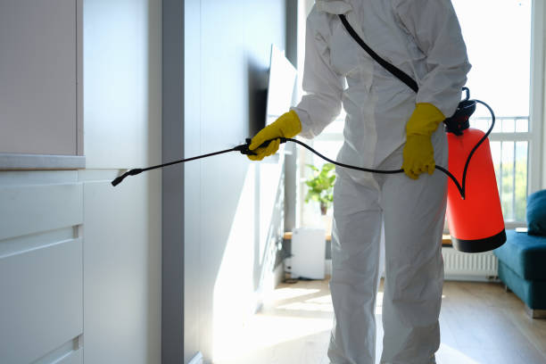 Best Asbestos and Lead Testing During Mold Inspection  in Whitehouse, TX